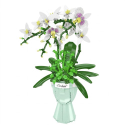 MouldKing 24123 Xếp hình lắp ráp ghép mô hình Phalaenopsis trắng
