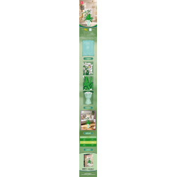 MouldKing 24123 Xếp hình lắp ráp ghép mô hình Phalaenopsis trắng