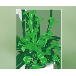 MouldKing 24123 Xếp hình lắp ráp ghép mô hình Phalaenopsis trắng