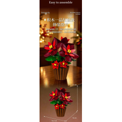 Hoa trạng nguyên Beautiful And 13124 trưng trên bàn gỗ dưới ánh đèn ấm, kèm số đo cao 21 cm, ngang 16.5 cm, sâu 16 cm