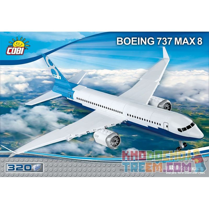 Bức hình ám ảnh về chiếc Boeing 737 lao xuống biển