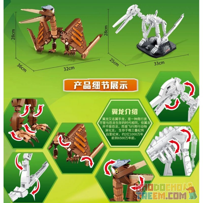 PanlosBrick 612006 Panlos Brick 612006 non  CANH bộ đồ chơi xếp lắp ráp ghép mô hình Dino DINOSAURIA PTEROSAURIA Khủng Long 758 khối PanlosBrick 612006 Panlos Brick 612006 non  CANH bộ đồ chơi xếp lắp ráp ghép mô hình Dino DINOSAURIA PTEROSAURIA Khủng Long 758 khối