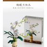 QIZHILE 92000 non  PHALAENOPSIS. bộ đồ chơi xếp lắp ráp ghép mô hình Creator Expert Chuyên Gia Sáng Tạo 588 khối