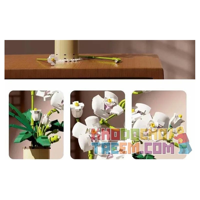 QIZHILE 92000 non  PHALAENOPSIS. bộ đồ chơi xếp lắp ráp ghép mô hình Creator Expert Chuyên Gia Sáng Tạo 588 khối