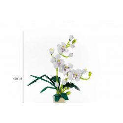 QIZHILE 92000 non  PHALAENOPSIS. bộ đồ chơi xếp lắp ráp ghép mô hình Creator Expert Chuyên Gia Sáng Tạo 588 khối