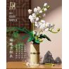 QIZHILE 92000 non  PHALAENOPSIS. bộ đồ chơi xếp lắp ráp ghép mô hình Creator Expert Chuyên Gia Sáng Tạo 588 khối