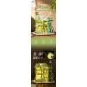 PLEYERID M38-P8021 P8021 8021 M38P8021 38-P8021 non  VƯỜN XUÂN ĐẮM CHÌM bộ đồ chơi xếp lắp ráp ghép mô hình Creator Sáng Tạo
