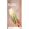 JAKI JK29317 29317 non  NHẬT KÝ THỰC VẬT HOA TULIP NGÔI SAO TỎA SÁNG bộ đồ chơi xếp lắp ráp ghép mô hình Creator Sáng Tạo