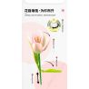 JAKI JK29317 29317 non  NHẬT KÝ THỰC VẬT HOA TULIP NGÔI SAO TỎA SÁNG bộ đồ chơi xếp lắp ráp ghép mô hình Creator Sáng Tạo