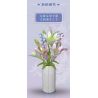 MouldKing 10057 Mould King 10057 non  THẾ GIỚI HOA LILY ĐẦY MÀU SẮC bộ đồ chơi xếp lắp ráp ghép mô hình  FLOWER WORLD Kỹ Thuật Công Nghệ Cao Mô Hình Phương Tiện 1006 khối