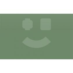 SEMBO 611071 non  CÁC LOÀI MỌNG NƯỚC DỄ THƯƠNG VÀ THÚ VỊ HOA HỒNG ĐỂ LẠI TIẾNG NÓI THIẾT BỊ GIA DỤNG KIỂU CỔ ĐIỂN bộ đồ chơi xếp lắp ráp ghép mô hình Creator Sáng Tạo 151 khối