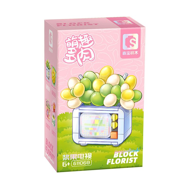 SEMBO 611068 non  DỄ THƯƠNG VÀ MỌNG NƯỚC BERRY TV ĐỒ GIA DỤNG CỔ ĐIỂN bộ đồ chơi xếp lắp ráp ghép mô hình Creator Sáng Tạo 179 khối