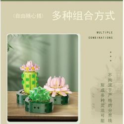 WELEMAGINATION 2114 non  HỘP TRƯNG BÀY CHẬU CÂY MỌNG NƯỚC KẾT HỢP TÁM TRONG MỘT bộ đồ chơi xếp lắp ráp ghép mô hình Flowers POTTED GARDEN Hoa 1257 khối