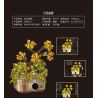 CACO D006-3 006-3 non  CHẬU HOA bộ đồ chơi xếp lắp ráp ghép mô hình Flowers 601 khối
