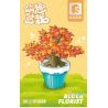 SEMBO 611064 non  CHẬU CÂY DỄ THƯƠNG MAPLE CUP bộ đồ chơi xếp lắp ráp ghép mô hình Flowers Hoa 91 khối