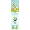 SEMBO 611063 non  CHẬU CÂY DỄ THƯƠNG JINGUI CUTE CUP bộ đồ chơi xếp lắp ráp ghép mô hình Flowers Hoa 101 khối