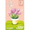 SEMBO 611059 non  CHẬU CÂY DỄ THƯƠNG CỐC HOA TULIP bộ đồ chơi xếp lắp ráp ghép mô hình Flowers 67 khối