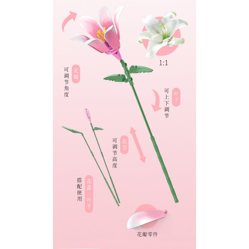 JAKI JK26103 26103 non  TẠP CHÍ THỰC VẬT HOA HUỆ NEON bộ đồ chơi xếp lắp ráp ghép mô hình Flowers PLANTE DOUBLE RAINBOW