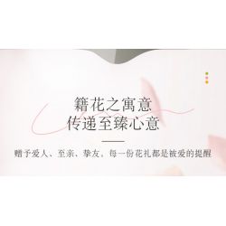 JAKI JK26103 26103 non  TẠP CHÍ THỰC VẬT HOA HUỆ NEON bộ đồ chơi xếp lắp ráp ghép mô hình Flowers PLANTE DOUBLE RAINBOW