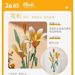 JAKI JK26103 26103 non  TẠP CHÍ THỰC VẬT HOA HUỆ NEON bộ đồ chơi xếp lắp ráp ghép mô hình Flowers PLANTE DOUBLE RAINBOW
