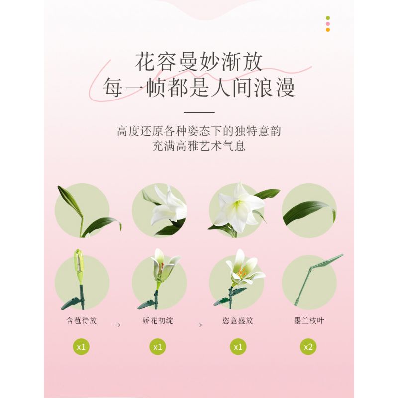 JAKI JK26103 26103 non  TẠP CHÍ THỰC VẬT HOA HUỆ NEON bộ đồ chơi xếp lắp ráp ghép mô hình Flowers PLANTE DOUBLE RAINBOW