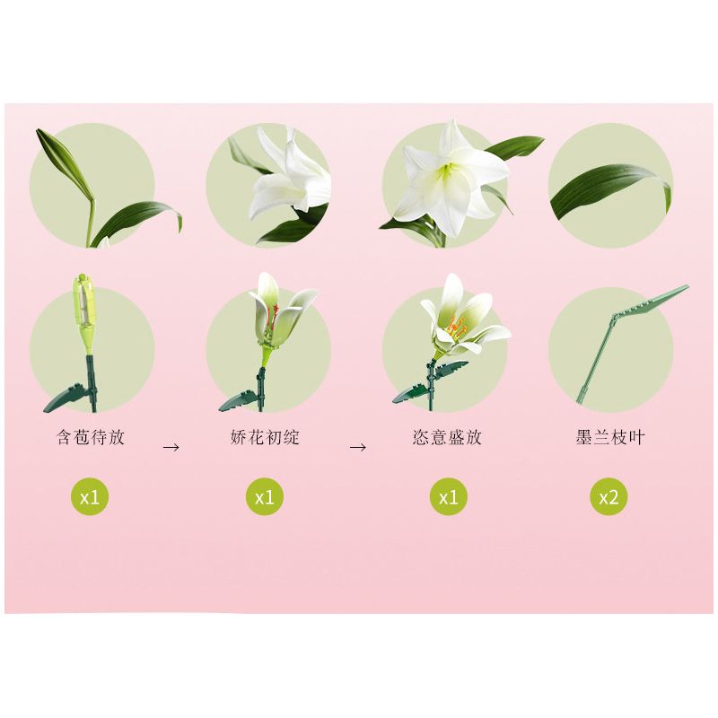 JAKI JK26102 26102 non  NHẬT KÝ THỰC VẬT HOA HUỆ VỚI ĐƯỜNG bộ đồ chơi xếp lắp ráp ghép mô hình Flowers PLANTE SWEETENER IN LIFE