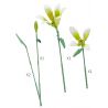 JAKI JK26101 26101 non  NHẬT KÝ THỰC VẬT LILY LIGHT SPRING bộ đồ chơi xếp lắp ráp ghép mô hình Flowers PLANTE EARLY SPRING Hoa