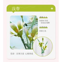 JAKI JK26101 26101 non  NHẬT KÝ THỰC VẬT LILY LIGHT SPRING bộ đồ chơi xếp lắp ráp ghép mô hình Flowers PLANTE EARLY SPRING Hoa