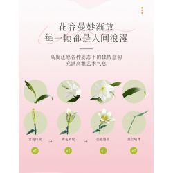 JAKI JK26101 26101 non  NHẬT KÝ THỰC VẬT LILY LIGHT SPRING bộ đồ chơi xếp lắp ráp ghép mô hình Flowers PLANTE EARLY SPRING Hoa