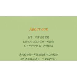 ZUANMA 103B non  HOA TRỒNG TRONG CHẬU 8 KIỂU QUÀ TẶNG BẠN MÙA XUÂN bộ đồ chơi xếp lắp ráp ghép mô hình Flowers