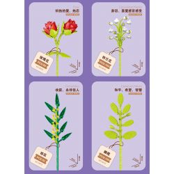ZUANMA 087D non  BÓ 8 CỐC 1 bộ đồ chơi xếp lắp ráp ghép mô hình Flowers Hoa 707 khối
