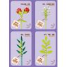 ZUANMA 087D non  BÓ 8 CỐC 1 bộ đồ chơi xếp lắp ráp ghép mô hình Flowers Hoa 707 khối