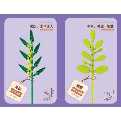 ZUANMA 087D non  BÓ 8 CỐC 1 bộ đồ chơi xếp lắp ráp ghép mô hình Flowers Hoa 707 khối