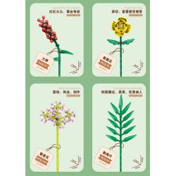 ZUANMA 087C non  BÓ 8 CỐC 1 bộ đồ chơi xếp lắp ráp ghép mô hình Flowers Hoa 715 khối