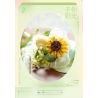 WEKKI 517202 non  HUAYU CHO BẠN ÁNH NẮNG bộ đồ chơi xếp lắp ráp ghép mô hình Flowers FLOWERS FOR YOU Hoa