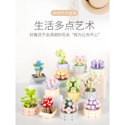 JAKI JK2710 2710 non  CÂY MỌNG NƯỚC TRONG CHẬU 12 LOẠI CÂU CHUYỆN MAY MẮN ÁNH SAO THẠCH MÙA HÈ NĂM THÁNG SƯƠNG CÔ GÁI NGUYỆN XOÀI NGỌC BÍCH DẠ KHÚC MƯA QUYẾN RŨ HOÀNG HÔN DÒNG SÔNG NGƯỜI DU HÀNH THỜI GIAN YANSHA XINYU THIÊN THẦN MƠ SAY RƯỢU bộ đồ chơi xếp lắp ráp ghép mô hình Flowers Hoa