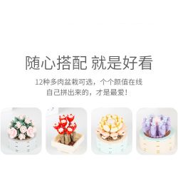 JAKI JK2710 2710 non  CÂY MỌNG NƯỚC TRONG CHẬU 12 LOẠI CÂU CHUYỆN MAY MẮN ÁNH SAO THẠCH MÙA HÈ NĂM THÁNG SƯƠNG CÔ GÁI NGUYỆN XOÀI NGỌC BÍCH DẠ KHÚC MƯA QUYẾN RŨ HOÀNG HÔN DÒNG SÔNG NGƯỜI DU HÀNH THỜI GIAN YANSHA XINYU THIÊN THẦN MƠ SAY RƯỢU bộ đồ chơi xếp lắp ráp ghép mô hình Flowers Hoa