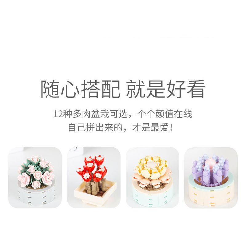 JAKI JK2710 2710 non  CÂY MỌNG NƯỚC TRONG CHẬU 12 LOẠI CÂU CHUYỆN MAY MẮN ÁNH SAO THẠCH MÙA HÈ NĂM THÁNG SƯƠNG CÔ GÁI NGUYỆN XOÀI NGỌC BÍCH DẠ KHÚC MƯA QUYẾN RŨ HOÀNG HÔN DÒNG SÔNG NGƯỜI DU HÀNH THỜI GIAN YANSHA XINYU THIÊN THẦN MƠ SAY RƯỢU bộ đồ chơi xếp lắp ráp ghép mô hình Flowers Hoa