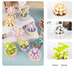 JAKI JK2710 2710 non  CÂY MỌNG NƯỚC TRONG CHẬU 12 LOẠI CÂU CHUYỆN MAY MẮN ÁNH SAO THẠCH MÙA HÈ NĂM THÁNG SƯƠNG CÔ GÁI NGUYỆN XOÀI NGỌC BÍCH DẠ KHÚC MƯA QUYẾN RŨ HOÀNG HÔN DÒNG SÔNG NGƯỜI DU HÀNH THỜI GIAN YANSHA XINYU THIÊN THẦN MƠ SAY RƯỢU bộ đồ chơi xếp lắp ráp ghép mô hình Flowers Hoa