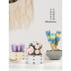 JAKI JK2710 2710 non  CÂY MỌNG NƯỚC TRONG CHẬU 12 LOẠI CÂU CHUYỆN MAY MẮN ÁNH SAO THẠCH MÙA HÈ NĂM THÁNG SƯƠNG CÔ GÁI NGUYỆN XOÀI NGỌC BÍCH DẠ KHÚC MƯA QUYẾN RŨ HOÀNG HÔN DÒNG SÔNG NGƯỜI DU HÀNH THỜI GIAN YANSHA XINYU THIÊN THẦN MƠ SAY RƯỢU bộ đồ chơi xếp lắp ráp ghép mô hình Flowers Hoa