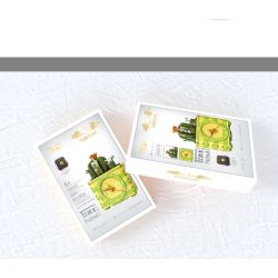 HENGTAI 92032C non  CÂY XƯƠNG RỒNG bộ đồ chơi xếp lắp ráp ghép mô hình TIMESPRITE TIME POTTED 260 khối