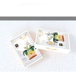 HENGTAI 92032B non  TRONG CHẬU bộ đồ chơi xếp lắp ráp ghép mô hình TIMESPRITE TIME POTTED 220 khối