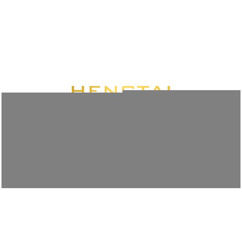 HENGTAI 92032A non  HOA HỒNG TRONG CHẬU. bộ đồ chơi xếp lắp ráp ghép mô hình TIMESPRITE TIME POTTED 227 khối