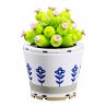 GEKKOSHA 804208 non  CÔN THỊT bộ đồ chơi xếp lắp ráp ghép mô hình Flowers Hoa 193 khối