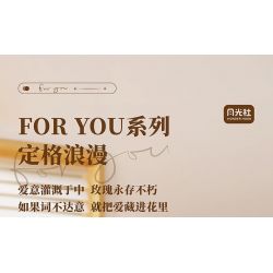 GEKKOSHA 804204 non  ÁNH SÁNG VÀ MÁI HIÊN bộ đồ chơi xếp lắp ráp ghép mô hình 503 khối