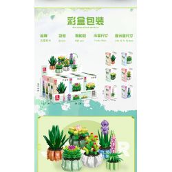 JIESTAR 92314 non  BONSAI 6 LOẠI THÀNH PHỐ KHÔNG ĐÊM QUÁN THẾ ÂM SEN ĐỎ NON HOA LÁ ???NG TRĂNG LUPIN LỤC BÌNH bộ đồ chơi xếp lắp ráp ghép mô hình Flowers