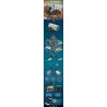 MouldKing 21014 Mould King 21014 non  NHÀ THÁM HIỂM GIỮA CÁC VÌ SAO bộ đồ chơi xếp lắp ráp ghép mô hình  MARS EXPLORER Kỹ Thuật Công Nghệ Cao Mô Hình Phương Tiện 1608 khối