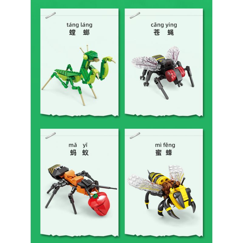 Kazi KY80040 80040 MINGDI LEIBAO K0375 0375 non  HỌ CÔN TRÙNG 8 MẪU BỌ NGỰA RUỒI KIẾN ONG CHUỒN ĐOM ĐÓM RÙA ỐC SÊN bộ đồ chơi xếp lắp ráp ghép mô hình Creator INSECT Sáng Tạo 692 khối
