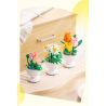 PLEYERID M38-B1077 B1077 1077 M38B1077 38-B1077 non  6 LOẠI HOA ĐỂ BÀN SANG TRỌNG bộ đồ chơi xếp lắp ráp ghép mô hình Flowers