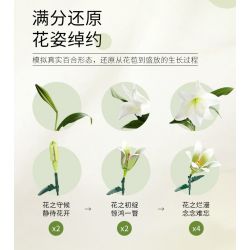 JAKI JK2695 2695 non  MỘT NGÀN MẶT TRỜI LỘNG LẪY bộ đồ chơi xếp lắp ráp ghép mô hình JAKI JK2695 2695 non  MỘT NGÀN MẶT TRỜI LỘNG LẪY bộ đồ chơi xếp lắp ráp ghép mô hình